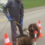 Inspection d'une canalisation à l'aide d'une caméra sur poussée